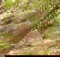 Mount Carnarvon Walking Track - Tourism Caloundra