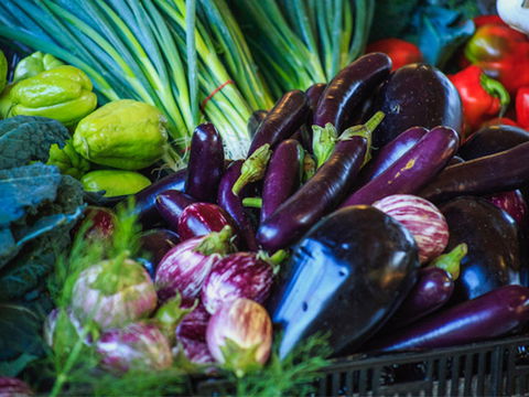 Murwillumbah Farmers' Market - Tourism Caloundra 1