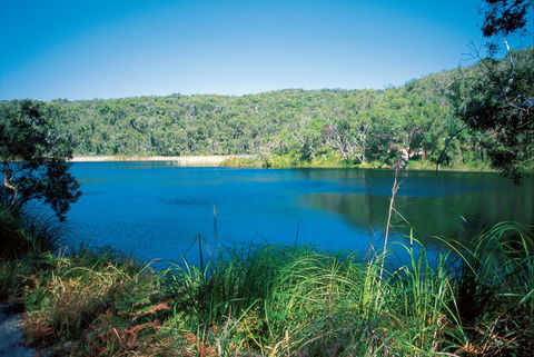 Naree Budjong Djara National Park - Tourism Caloundra 1