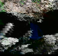 Natural Bridge Circuit Springbrook National Park - Tourism Caloundra