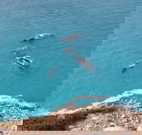 Nullarbor National Park - Tourism Caloundra
