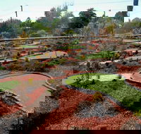 Orange Mini Golf - Tourism Caloundra
