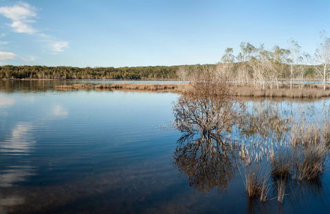 Pattimores Lagoon - Tourism Caloundra 0