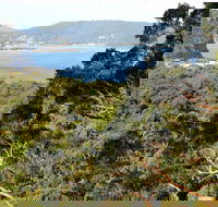 Patonga to Pearl Beach Walking Track - Tourism Caloundra