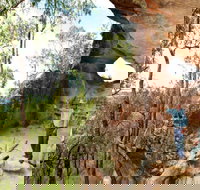 Pilliga Forest - Tourism Caloundra