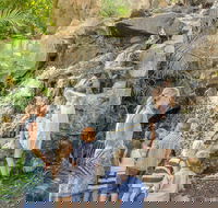 Queens Park Waterfall - Tourism Caloundra