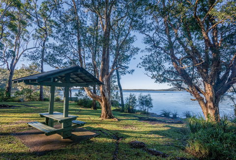 Queens Lake Picnic Area - Tourism Caloundra 0