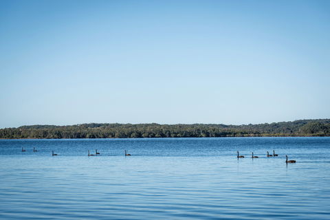 Queens Lake Picnic Area - Tourism Caloundra 1