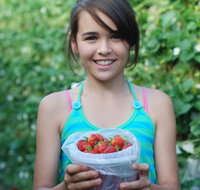 Ricardoes Tomatoes and Strawberries Farm Port Macquarie - Tourism Caloundra