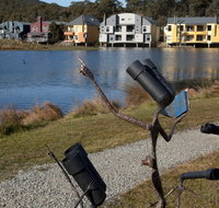 Sculpture Trail at Lake Crackenback Resort and Spa - Tourism Caloundra