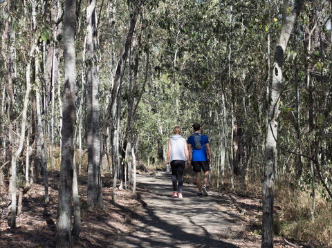 Six Mile Creek, Bluff Lookout And Little White Rock Trails - Tourism Caloundra 0