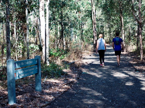 Six Mile Creek, Bluff Lookout And Little White Rock Trails - Tourism Caloundra 2