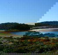Snorkelling Broulee Island - Tourism Caloundra