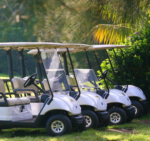 The Vale Golf Course - Tourism Caloundra 0