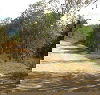 The Bloomfield Track - Tourism Caloundra