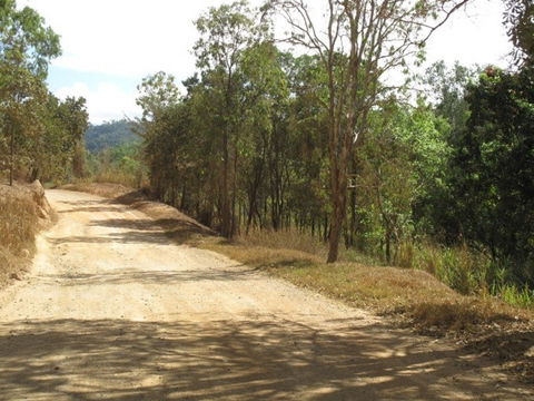 The Bloomfield Track - Tourism Caloundra 0