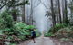 The Corn Trail Walking Track - thumb 0