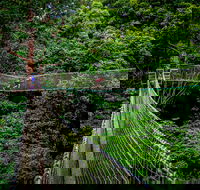 Thunderbird Park  - Tamborine Mountain Gold Coast Region - Tourism Caloundra