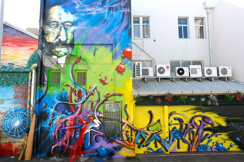 Townsville Street Art - Tourism Caloundra 2
