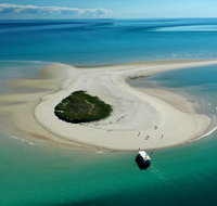 Turtle Discovery - Tourism Caloundra