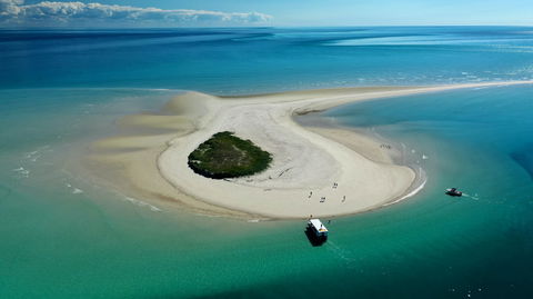 Turtle Discovery - Tourism Caloundra 0
