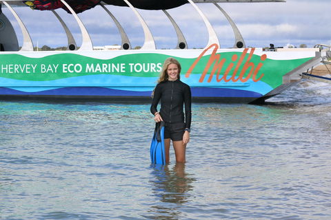 Turtle Discovery - Tourism Caloundra 1