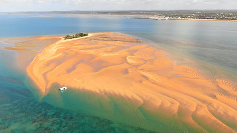 Turtle Discovery - Tourism Caloundra 2