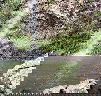 Twin Falls Circuit Springbrook National Park - Tourism Caloundra