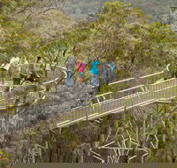 Walpole Wilderness Discovery Centre - Tourism Caloundra