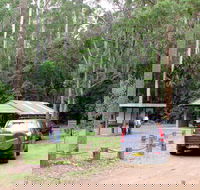 Wallingat Forest Drive - Tourism Caloundra