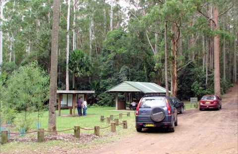 Wallingat Forest Drive - Tourism Caloundra 0