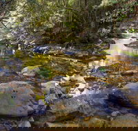 Washpool Walking Track - Tourism Caloundra