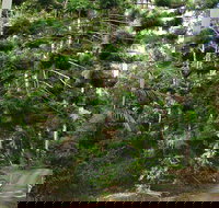 Way Way Creek Road Drive - Tourism Caloundra