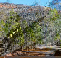 Weddin Gap to Black Spring Loop Trail - Tourism Caloundra