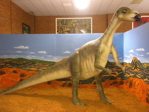 Wentworth Pioneer Museum - Tourism Caloundra 1