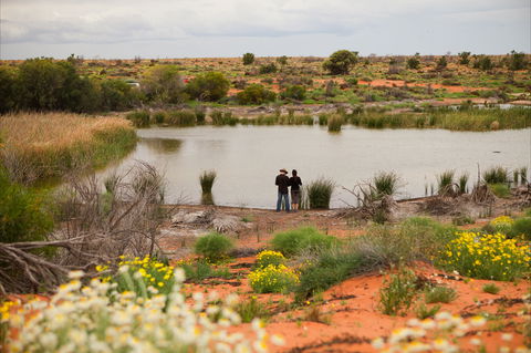 Witjira National Park - Tourism Caloundra 2