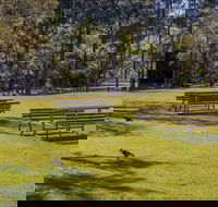 Wombeyan picnic area - Tourism Caloundra