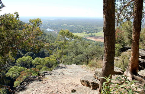 Yellow Rock Lookout - Tourism Caloundra 0