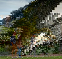 Aboriginal Heritage Walk - Tourism Caloundra