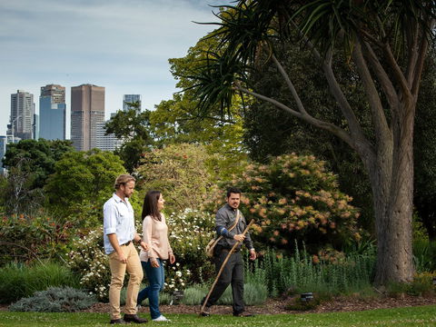 Aboriginal Heritage Walk - Tourism Caloundra 0