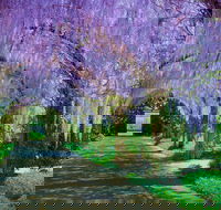 Alowyn Gardens and Nursery - Tourism Caloundra