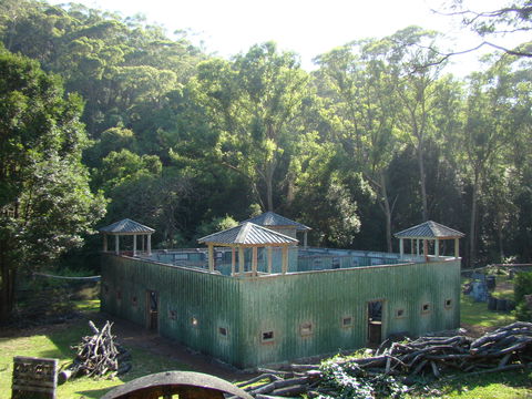 Alpha Paintball - Tourism Caloundra 0