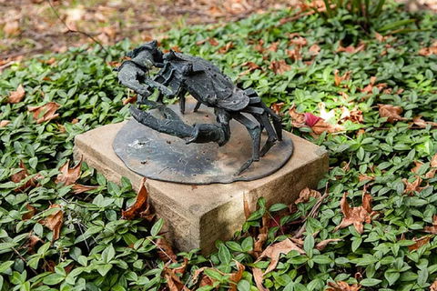 Antony Symons - Retrospective Of A Life's Work - Tourism Caloundra 0
