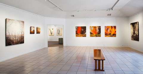 Beaver Galleries - Tourism Caloundra 1