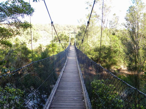 Bens Walk - Tourism Caloundra 1