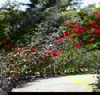 Benalla Botanical Gardens - Tourism Caloundra