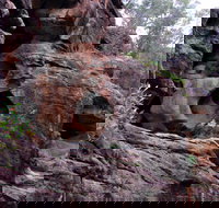 Bertha's Gully Walking Track - Tourism Caloundra