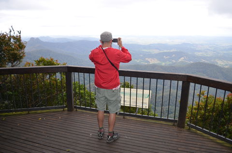 Best Of All Lookout Track, Springbrook National Park - Tourism Caloundra 0