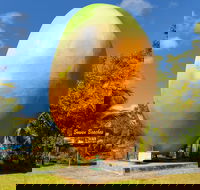 Big Mango - Tourism Caloundra