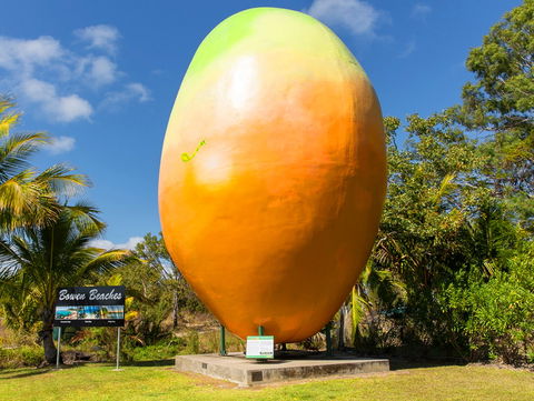 Big Mango - Tourism Caloundra 0
